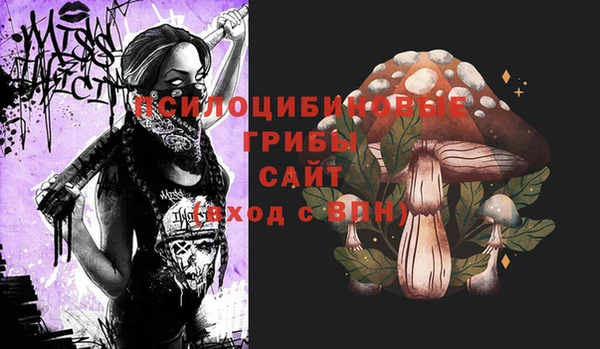 apvp Медногорск
