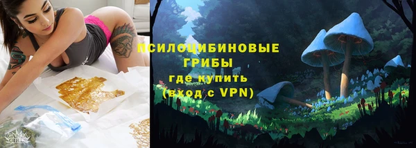 apvp Медногорск