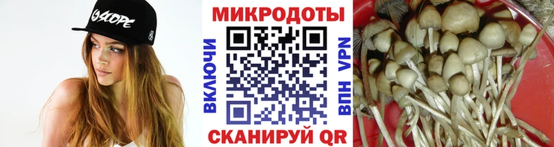 Купить  Каменск-Шахтинский  Галлюциногенные грибы MAGIC MUSHROOMS 