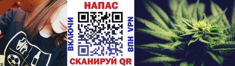 Купить  Каменск-Шахтинский  Бошки марихуана тримм 
